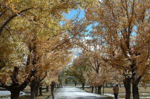 Garze Kangding Lake & Mountain